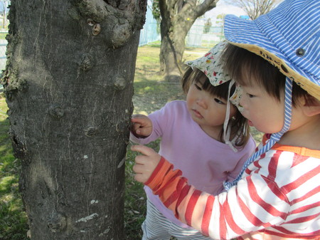 IMG_1456.JPGのサムネール画像