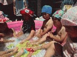 IMG_2906.JPGのサムネール画像のサムネール画像