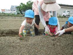 IMG_3141.JPGのサムネール画像のサムネール画像